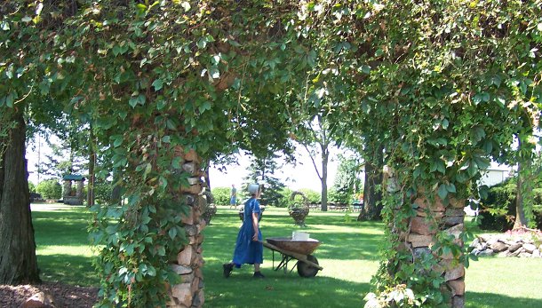 gardeningweb2
