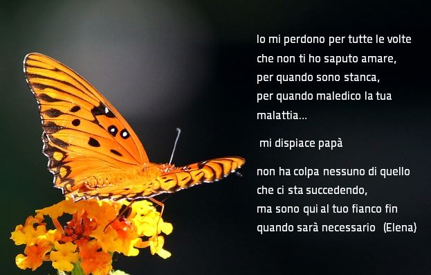 foto farfalla con testo di Elena
