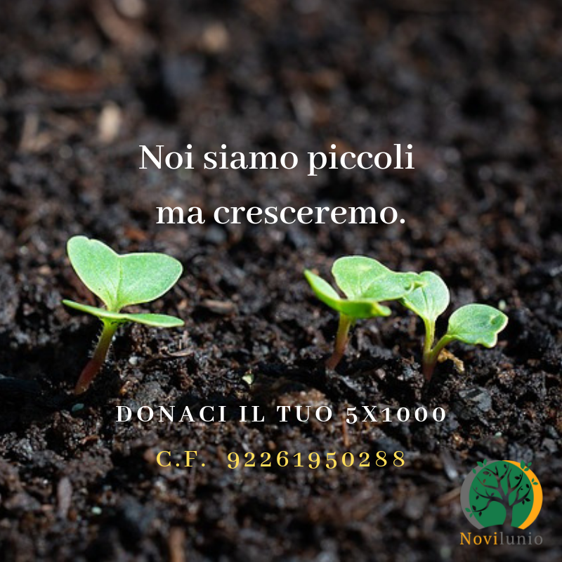 Noi Siamo Piccoli Ma Cresceremo Testo